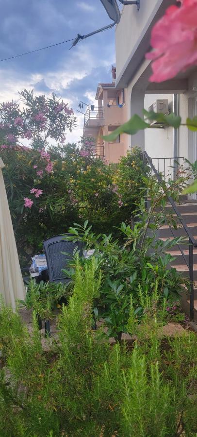 נייביצה Apartmani Sonia מראה חיצוני תמונה