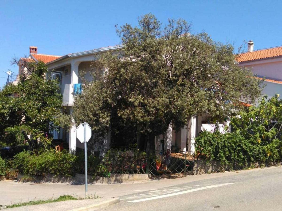 נייביצה Apartmani Sonia מראה חיצוני תמונה